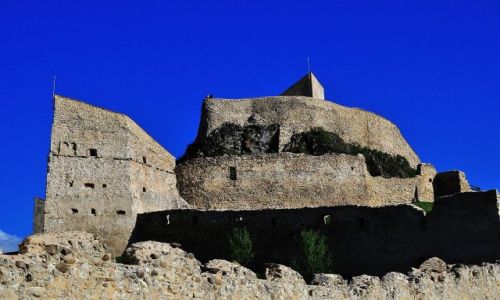 Zdjecie RUMUNIA / Okrg Braszw / Rupea / ywi i broni....