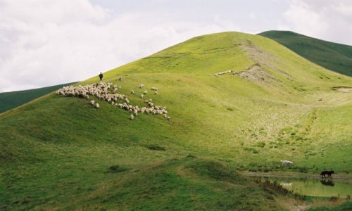 Zdjęcie RUMUNIA / KARPATY POŁUDNIOWE / KARPATY POŁUDNIOWE / KARPATY POŁUDNIOWE
