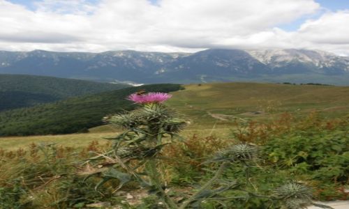 Zdj�cie RUMUNIA / KARPATY PO�UDNIOWE  / KARPATY PO�UDNIOWE  / KARPATY PO�UDNIOWE 