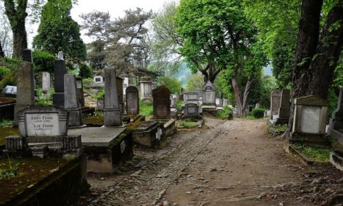 Zdjecie RUMUNIA / rodkowa Rumunia / Sigishoara / RIP