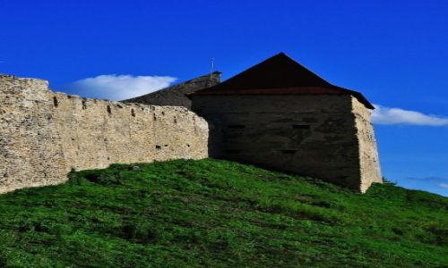 Zdjcie RUMUNIA / Okrg Braszw / Rupea / ywi i broni....