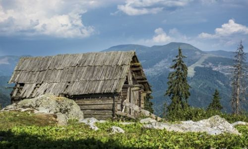 Zdjecie RUMUNIA / Gry Marmaroskie / Maramuresz / W drodze na Farcaul