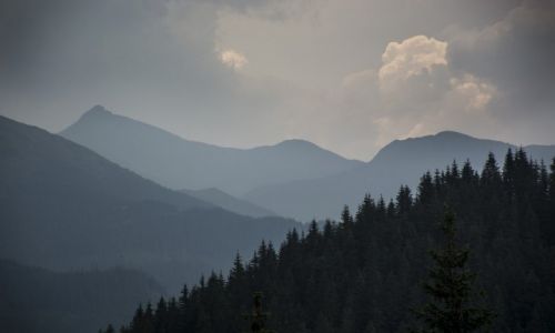 Zdjecie RUMUNIA / Maramuresz / Maramuresz / Widok na Alpy Rodniaskie