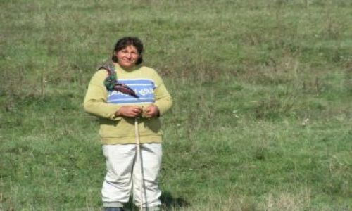 Zdjęcie RUMUNIA / Transylwania / Aiud / Pasterka