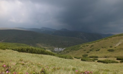 Zdjcie RUMUNIA / Bucegi / Bucegi / Bucegi