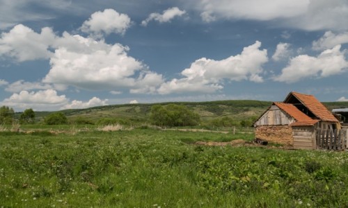 Zdjcie RUMUNIA / - / Viscri / Viscri
