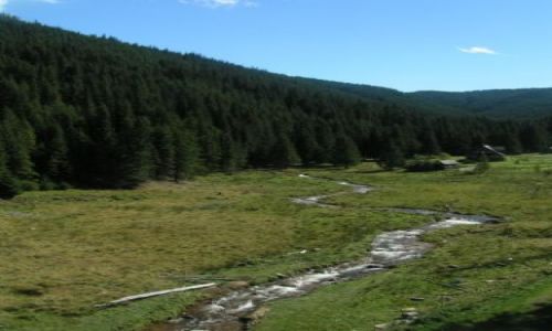 Zdjęcie RUMUNIA / Góry Parang / Sugag / Wijący potok