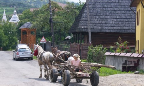 Zdjecie RUMUNIA / Maramuresz / wioska Budesti / Na ulicy