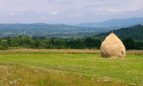 Zdjecie RUMUNIA / Maramuresz / Dolina Izy / Maramorskie krajobrazy