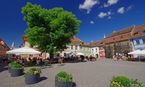 Zdjęcie RUMUNIA / Transylwania / Sighishoara / Rynek