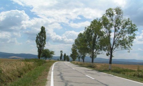 Zdjęcie RUMUNIA / Munteania / Resita / Aleja drzew