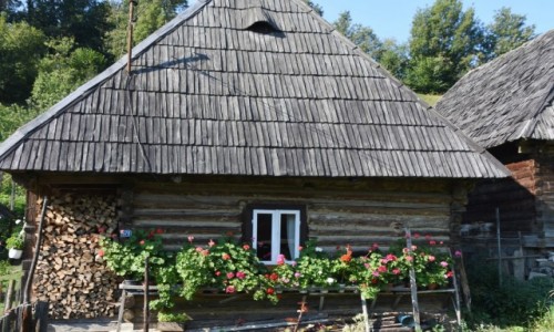Zdjcie RUMUNIA / Maramuresz / Poienile Izei / Chatka malowana pelargoniami