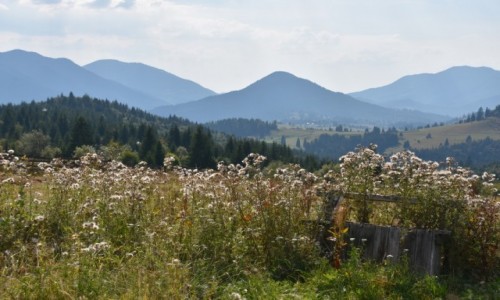 Zdjcie RUMUNIA / Bukowina  / W drodze do Bistrity / Widziane po drodze