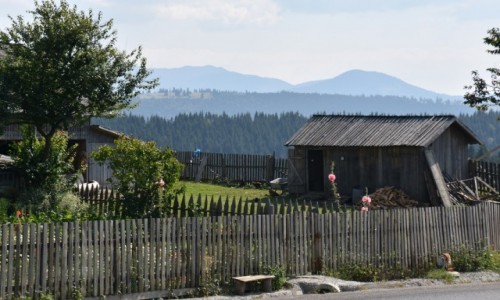 Zdjcie RUMUNIA / Bukowina  / W drodze na Maramuresz / Widziane po drodze
