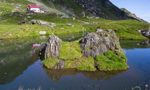 Zdjęcie RUMUNIA / Trasa Transfogarska / Trasa Transfogarska / Cisza dookoła