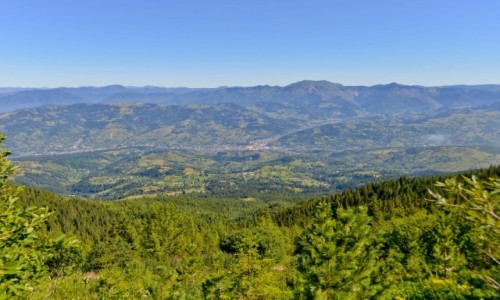 Zdjęcie RUMUNIA / Okręg Marmarosz / Dolina Viseu / Borsa
