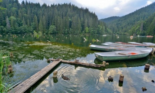 Zdjęcie RUMUNIA / wschodnie Karpaty / W sąsiedztwie wąwozu Bicaz / Lacu Rosu- jezioro marzeń