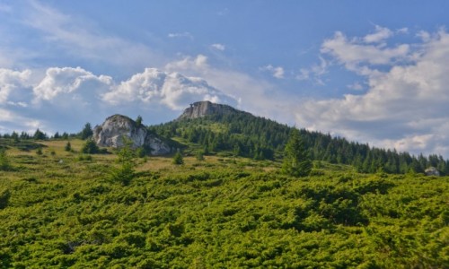 Zdjęcie RUMUNIA / Karpaty Mołdawskie / Pasmo Cehlau / Kochajcie góry, są piękne.