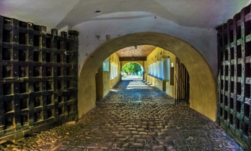 Zdjcie RUMUNIA / Transylwania / Prejmer / Zbr luteraski