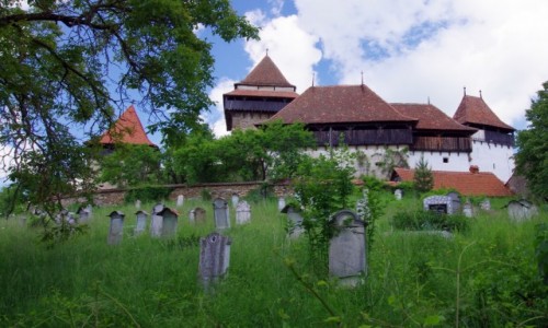 Zdjecie RUMUNIA / Transylwania / Viscri / Z minionej epoki