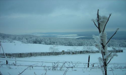 Zdjęcie RUMUNIA / moldova / poza murem klasztornym / widok z hadambu