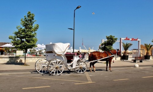 Zdjcie RUMUNIA / Dobruda / Mamaia / Deptak w Mamaia