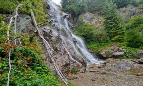 Zdjęcie RUMUNIA / Park Narodowy Apuseni / Arieseni / Cascada Varciorog
