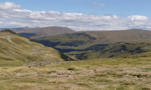 Zdjecie RUMUNIA / Transylwania / Transylwania / Transalpina