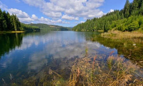 Zdjecie RUMUNIA / Karpaty Poudniowe / Jezioro Vidra / I do tego wiatr wiejcy prosto w twarz
