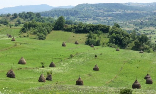 Zdjcie RUMUNIA / Marmarosz / - / Krajobraz Maramuresz