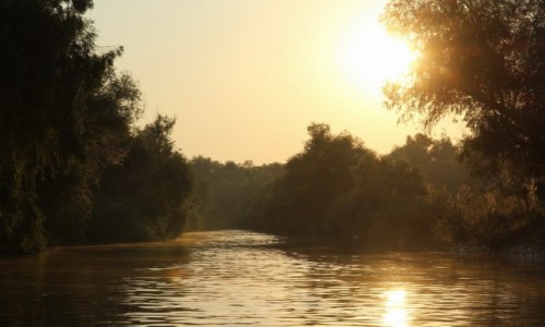Zdjęcie RUMUNIA / Delta Dunaju / - / Poranek w Delcie Dunaju