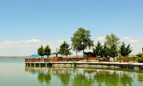 Zdjcie RUMUNIA / Dobruda / Mamaia / Nad jeziorem Siutghiol