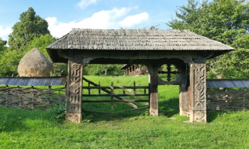 Zdjcie RUMUNIA / Maramuresz / Baia Mare, skansen / Ozdobna brama 