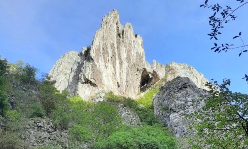 Zdjęcie RUMUNIA / Kluj Napoka / Park Narodowy Chelie Turzi / Grzebień