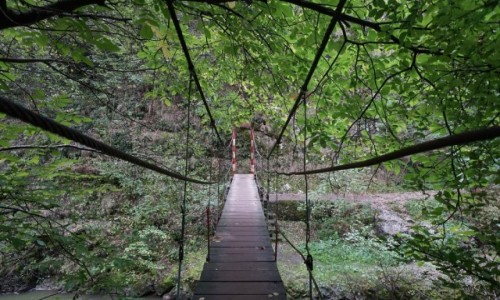 Zdjęcie RUMUNIA / Transylwania  /  Park Narodowy Chelie Turzi / Mostek