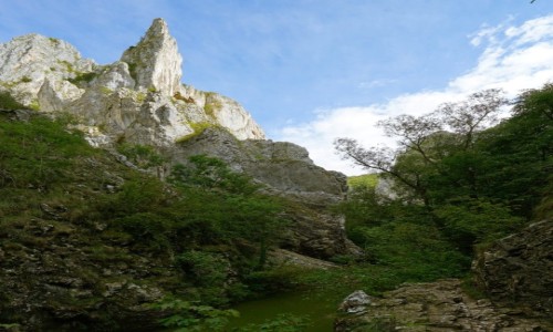 Zdjęcie RUMUNIA / Transylwania  / Park Narodowy Chelie Turzi / Wąwóz Turda