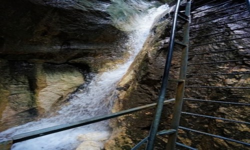 Zdjęcie RUMUNIA / Transylwania  / Masyw Piatra Mare / Kanion Siedmiu Schodów
