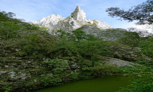 Zdjęcie RUMUNIA / Transylwania  / Park Narodowy Chelie Turzi / Coś mi to przypomina...