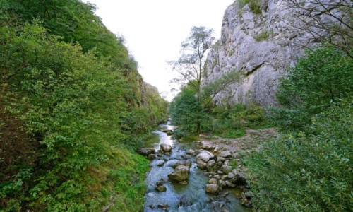Zdjęcie RUMUNIA / Kluj Napoka / Park Narodowy Chelie Turzi / Wzdłuż rzeki