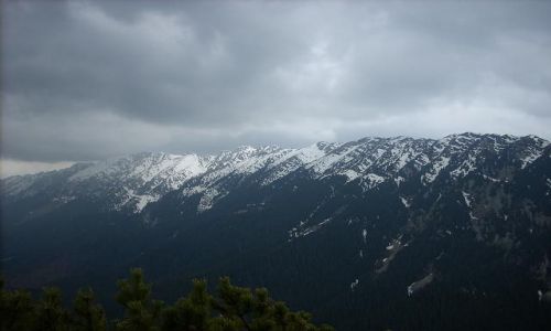 Zdjecie RUMUNIA / Transylwania / Okolice Zarnesti / Piatra Craiului