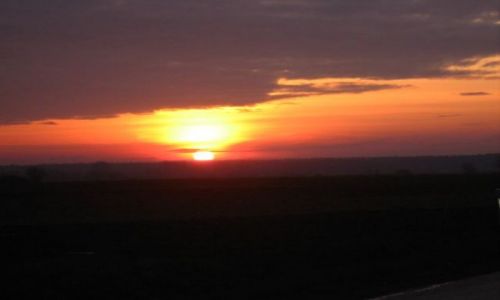 Zdjęcie RUMUNIA / brak / Afumati / the sunset