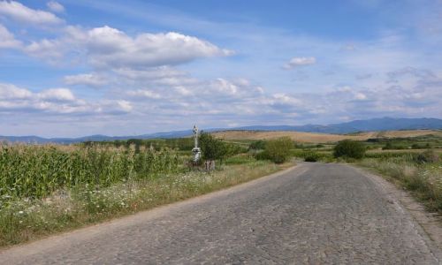 Zdjęcie RUMUNIA / Ocna Sutag / droga / Gdzieś w Maramuresz