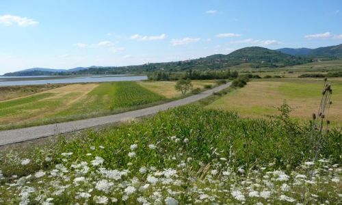 Zdjęcie RUMUNIA / Ocna Sutag / droga / Rumuńskie krajobrazy