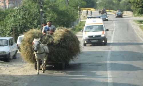 Zdjecie RUMUNIA / Transylwania / Karpaty Południowe / Portret na sianie