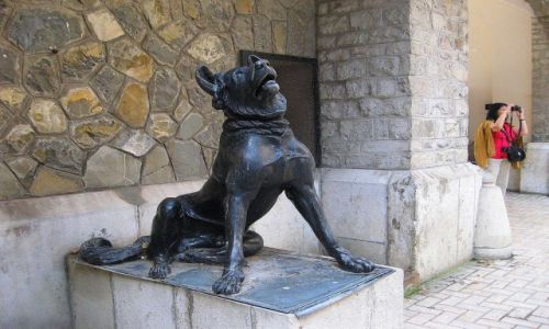 Zdjęcie RUMUNIA / Transylwania / Sibiu, dziedziniec zamku Peles / samotny wilk strzegący zamku Peles
