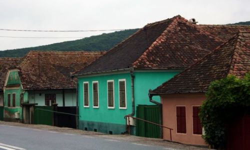 Zdjcie RUMUNIA / - / Hendu / Domki