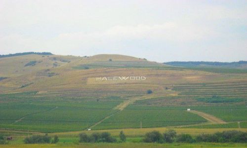 Zdjęcie RUMUNIA / Transylwania / na trasie Brasov - Sighisoara / Halewood Rumunii