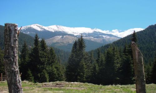 Zdjecie RUMUNIA / Maramuresz / Prislop / Widok z przeeczy Prislop