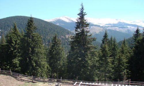Zdjecie RUMUNIA / Maramuresz / Prislop / Widok z przeeczy Prislop
