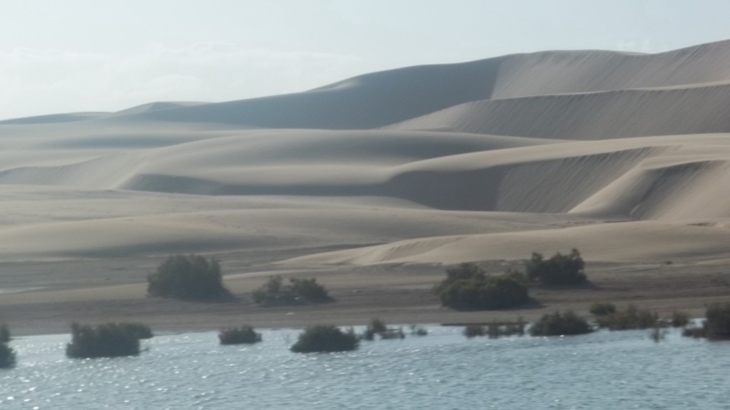 Zdjęcia: sahara, sahara, Sahara zachodnia samotna wyprawa, SAHARA ZACHODNIA Zdjęcia: sahara, sahara, Sahara zachodnia samotna wyprawa, SAHARA ZACHODNIA
